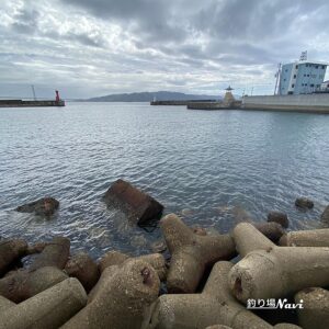 中崎みなと公園前｜釣り場Navi