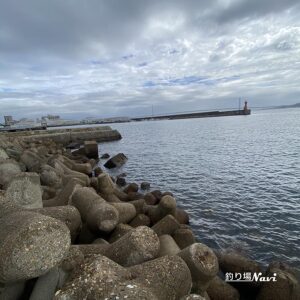 中崎みなと公園前｜釣り場Navi