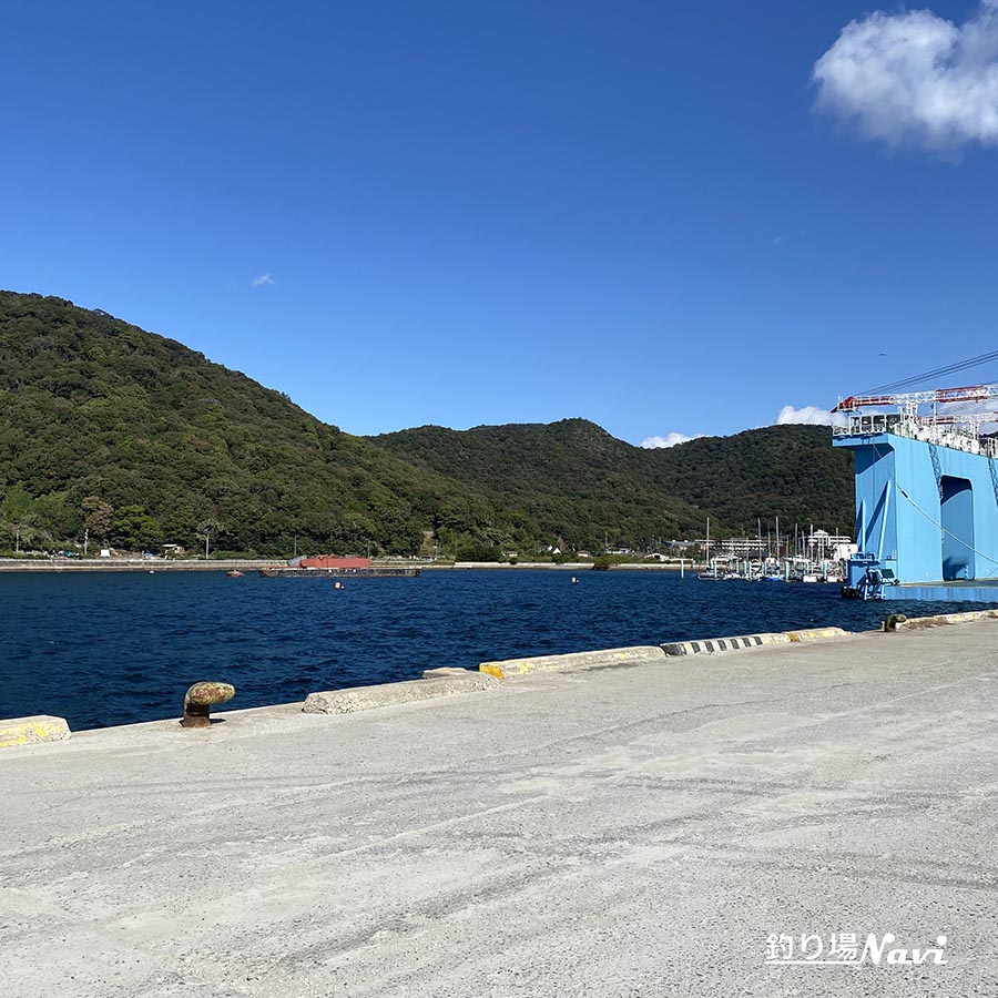 相生市 野瀬埠頭｜釣り場Navi