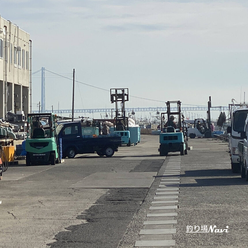 漁港と釣り人が気持ちよく共存するために｜釣り場Navi