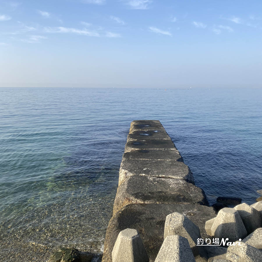 野島漁港｜釣り場Navi