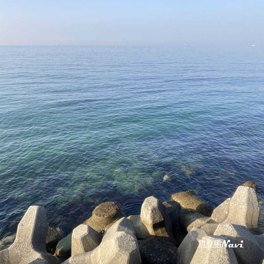 野島漁港｜釣り場Navi