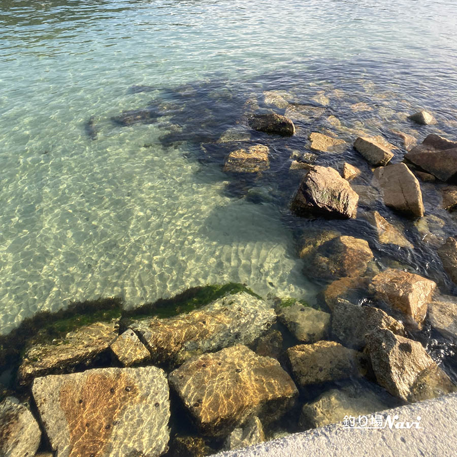 野島漁港｜釣り場Navi