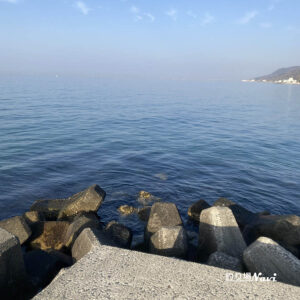 野島漁港｜釣り場Navi