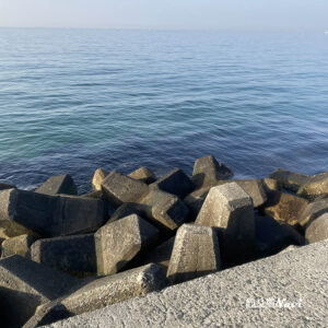 野島漁港｜釣り場Navi