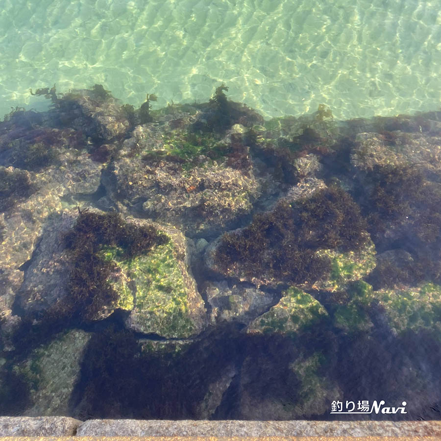 野島漁港｜釣り場Navi
