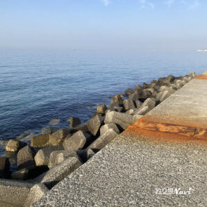 野島漁港｜釣り場Navi