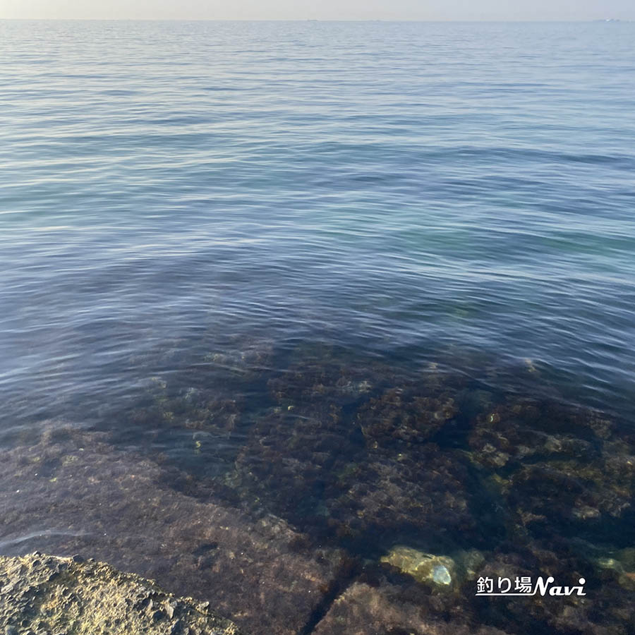 野島漁港｜釣り場Navi