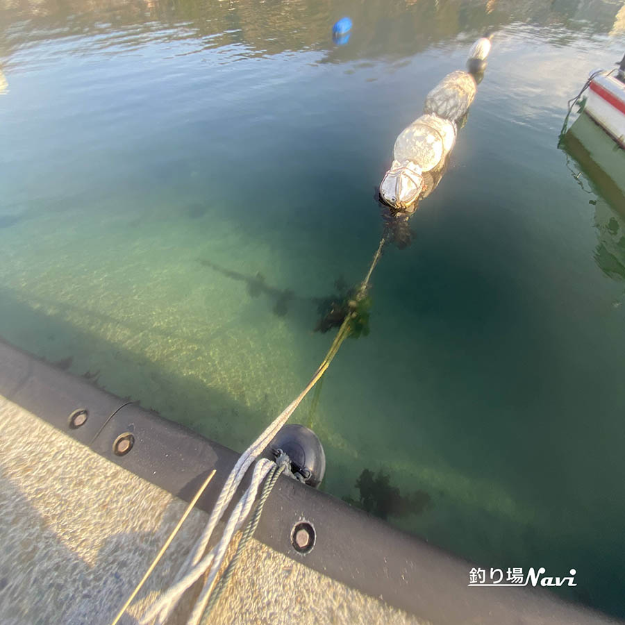 野島漁港｜釣り場Navi