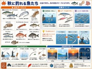 秋に釣れる魚たち｜釣り場Navi