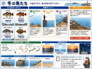 冬の魚たち｜釣り場Navi